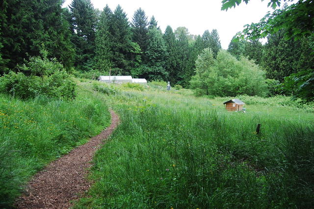 View from South Meadow - June 2012