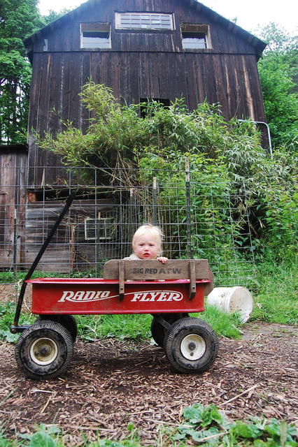 Farm Tour 13 - Zora and Barn