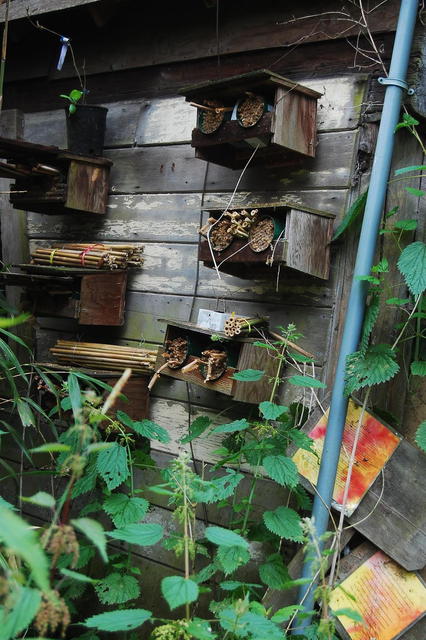 Farm Tour 14 - Mason Bees