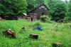 Wide view of barn