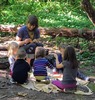 Sewing in the forest