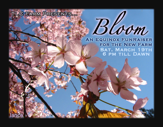 bloom.flyer.front