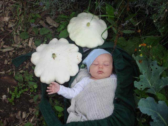 Raven and 2 white squash