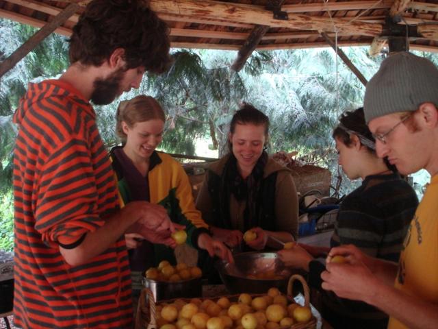 Interns canning plums