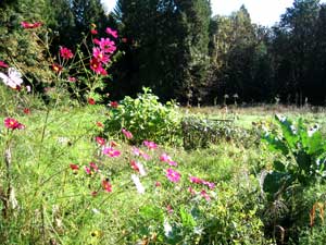 garden.flowers