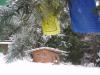 Snowy sauna and flags