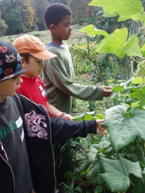 Students in Garden