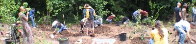 VBC 7 food forest banner