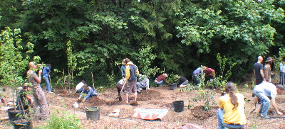 vbc.foodforest.sm